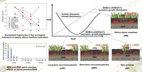 Location of the study site and experimental design. Note: (a) Sanjiangyuan region, (b) experiment design.The core experimental area is 6 m × 6 m, with a 5 m wide buffer on the periphery. In this area, fixed monitoring quadrats (0.5 m × 0.5 m) were set up for different patch types. (c) different types of patches. Representative field photos of three patch recovery types : Bare patch (BP), Short-term recovered patch (SRP), Long-term recovered patch (LRP) and Native alpine meadow (NM).