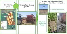 Experiment design and location.