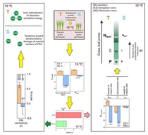 Multivariate and univariate analyses of PIABS and leaf elongation parameters. T, tolerant genotype group; S, sensitive genotype group. (A) Principal component analysis using PIABS and leaf elongation parameters. (B) Bars represent means ± S.E and the X in XZ-SCORE represents each of the parameters. (C) Calculation of Cohen’s d statistic using only the parameters that showed significant differences in (A). (D,E) Principal component analysis and XZ-SCORE, respectively, of PIABS components and other OJIP parameters. (F) Analysis of the connectivity between PSII units (p). Asterisks in (B,E,F) indicate significant differences between tolerant and sensitive genotype groups (Student’s t-test, two samples; **, ***, and **** represent p < 0.01, p < 0.001, and p < 0.0001, respectively).