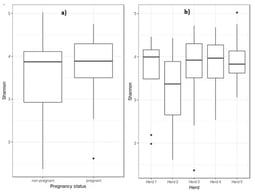 Box plot of Shannon diversity of ewes’ vaginal microbiota at the genus level as compared to pregnancy status (a) and herds (b). Box lower part represents the lower quartile, box upper part represents the upper quartile, and the bar inside is the median. The whiskers are the minimum and maximum data values, and outliers are shown as small circles.