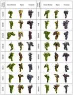 Visual comparison of cluster morphology for 32 ‘Merzifon Karası’ clones at three phenological stages (green, veraison, and ripening).