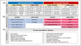 Current knowledge about domains and behavioral tasks of executive functions (a), involved brain structures (b) and underlying assumptions/features (c) of hot versus cold executive functions. SST: stop signal task; AX-CPT: AX Continuous Performance Task; ERT: emotional regulation task. Note: Reprinted from “Hot and cold executive functions in the brain: A prefrontal–cingular network,” by (Salehinejad et al., 2021, p. 2).