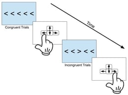 Flanker task (adapted from Jones et al., 2019).