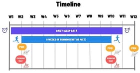 Summary of the timeline Between week 1 (W1) and week 12 (W12).