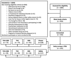 Participant CONSORT.