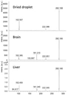 MALDI MS/MS spectra of derivatised glucose (m/z 282); detected using the dried-droplet approach and in brain and liver tissue sections following on-tissue chemical derivatisation with betaine aldehyde and CHCA matrix deposition.