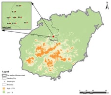 Distribution of surveyed plots within the study area and location on Hainan Island. RCF: Rubber–coconut–fig agroforestry system; RA: Rubber–Alpinia agroforestry system; RK: Rubber–konjak agroforestry system; RF: Rubber–fig agroforestry system; RG: Rubber–forage grass–black goat agroforestry system; RB: Rubber–banana agroforestry system; RC: Rubber–coconut agroforestry system; RM: Rubber monoculture system.