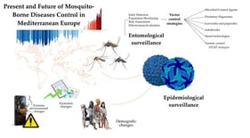 The risks of arboviral outbreaks in Europe are increasing due to the arrival of new invasive vector species supported by global change and insecticide resistance.