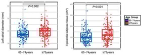 Comparison of left atrial (LA) diameter and epicardial adipose tissue across age groups. Boxplots illustrate the distribution of LA diameter and EAT in patients aged 65–74 years old versus those aged ≥ 75 years old. The horizontal line within each box represents the median, the box boundaries represent the 25th and 75th percentiles (interquartile range, IQR), and the whiskers extend to the most extreme data points within 1.5 times the IQR. p values were calculated using independent-samples t-test and Mann–Whitney U test and indicate a significant increase in both LA diameter and EAT in the older age group.