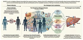 Eco-biological framework modulates metabolic–hepatic risk.
