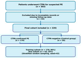 Patient selection and dataset allocation.