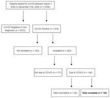 Flow diagram of patients tested for COVID-19 between 1 March and 31 December 2020 (n = 2788). Of these, 416 tested positive, with 263 requiring intubation. Among intubated patients, 146 were intubated due to COVID-19, of whom 120 had complete data for analysis.