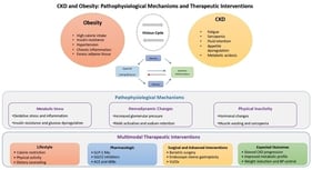 Principal pathophysiological mechanisms underlying obesity-related glomerulopathy (ORG). RAAS: Renin–angiotensin–aldosterone system.