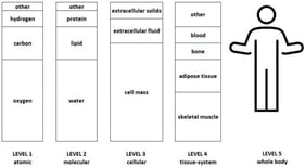Five-level model of body composition, adapted from Wang et al. 1992 [6], not to scale.