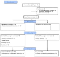 Participant Flow Diagram.