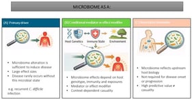 Schematic of the microbiome as the primary disease driver (A), conditional mediator or risk modifier (B) and association biomarker (C).