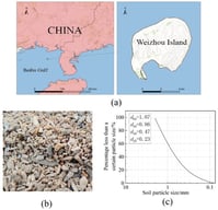 (a) The sand sample collection point is located in Weizhou Island, Beibu Gulf, Beihai City, Guangxi, adjacent to the South China Sea. (b) Image of coral sand sample. (c) Gradation curve of coral sand.