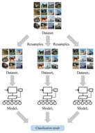 The flowchart of general ensemble learning.