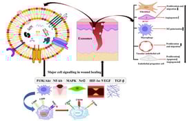 Illustration of the sequential phases of wound healing, beginning with hemostasis to control bleeding, followed by inflammation involving immune cell infiltration. It then shows the proliferation phase with granulation tissue formation and fibroblast activity, and finally the remodelling phase where collagen is reorganized and the scar matures.