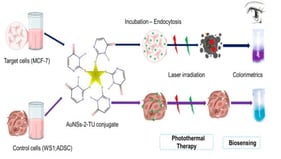 Characterization of functionalized AuNSs–2-TU: (A) UV–Vis absorption spectra; (B) FT-IR spectra; (C) 1H NMR spectra; (D) XRD pattern.