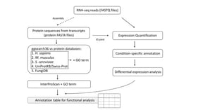 Overview of the annotation table generation including functional annotation. RNA-seq, RNA sequencing; GO, Gene Ontology. Dashed lines indicate optional steps.