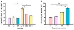 Optimization of the preparation enzyme system for O. xuefengensis protoplasts. (A) Types of enzymes: L1: 1.5% lywallzyme 1, L2: 1.5% lywallzyme 2, L3: 50 U lyticase, L1 + S: 0.75% lywallzyme 1 and 0.75% snailase, L2 + S: 0.75% lywallzyme 2 and 0.75% snailase, L3 + S: 25 U lyticase and 0.75% snailase; (B) enzyme concentration: C1: 0.75% lywallzyme 1 and 0.75% snailase, C2: 1% lywallzyme 1 and 1% snailase, C3: 1.25% lywallzyme 1 and 1.25% snailase, C4: 1.5% lywallzyme 1 and 1.5% snailase. Values are presented as mean ± SD (n = 3). Significance analysis between two different groups: ** p < 0.01, *** p < 0.001.