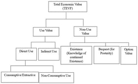 The total economic value framework (adapted and modified from IUCN 1991).