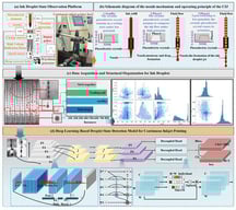 Ink Droplet State Observation Platform &amp; Theoretical Analysis of Ink Droplet Formation. (a) Components of the experimental setup including Piezoelectric actuator, High Voltage Amplifier, and CCD acquisition system. (b) Three-phase droplet formation dynamics and force analysis. (c) Data acquisition and structural organization for ink droplets. (d) Deep Learning-Based droplets state detection model for continuous inkjet printing.
