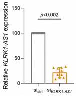 Silencing of ECFCs with siRNA for KLRK1-AS1 reduces its expression. Statistics used Wilcoxon signed-rank test for raw data (ΔCt values) 48 h after transfection. Relative expression is shown as mean ± SD of n = 10 donors.