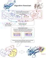 Flowchart of the SLAM (Spatio-Linear Alignment of Macromolecules) algorithm for identifying local 3D similarities between protein structures. SLAM detects local structural similarities by representing neighborhoods of atoms in protein–ligand binding cavities as short, linearly ordered atom sequences and comparing them using sequence alignment methods. The algorithm proceeds through the following computational steps: (1). Selection of candidate neighborhood centers: Each heavy atom (non-hydrogen) in proteins A and B is treated as a potential center (α or β) of a local neighborhood. (2) Generation of local atom sequences: For each center, a neighborhood is constructed by selecting 7–11 nearby atoms, sorted by increasing distance from the central atom, to form linear sequences (α-seq and β-seq). (3) Annotation with physicochemical properties: Each atom in each of the sequences is annotated with descriptors capturing its chemical environment and the properties of its parent amino acid (see Section 2.2.1 for details). (4) Pairwise sequence alignment: The Needleman–Wunsch algorithm is used to align α-seq and β-seq based on physicochemical similarity and gap penalties. Since the sequences are defined by 3D proximity, this process implicitly aligns the local 3D regions (‘a’ in protein A to ‘b’ in protein B). (5) Frequency filtering of atom matches: Atom pairs that frequently occur in high-scoring alignments are retained as candidate 3D matches (Section 2.2.2). (6) Expansion into larger 3D substructures: Hierarchical clustering is used to merge consistent atom pairs into larger aligned substructures, optimizing the Pearson correlation of interatomic distances (see Section 2.2.3). (7) Final scoring of 3D alignments: The final SLAM score (Ncorr5) integrates alignment size (N), the correlation of interatom distances, and the overall physicochemical similarity between matched atoms (Section 2.2.4).