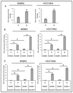 Expression of AXL in parental and trastuzumab-resistant breast cancer cells. (A) Differential expression of AXL expression in trastuzumab-resistant SKBR3 and HCC1954 cells as determined by qPCR. (B) in the presence or absence of the ligand, GAS6, (C) in the presence and absence of hedgehog inhibitor, GANT61 and GAS6. Two-way ANOVA followed by Tukey’s multiple comparisons post hoc test was used to determine statistical significance. Parental (P) and resistant (R) cell lines are indicated. Data are presented as mean ± SD (n = 3). * p ≤ 0.05.