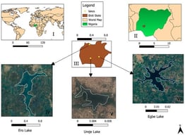 Map of the Study Sites created with QGIS showing the following: Position of Nigeria on the world map (I), position of Ekiti State in Nigeria (II); Position of the three lakes within Ekiti State (III); Ero lake, Ureje lake and Egbe lake. All measurements are given in Map units.