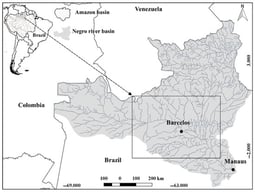 Location of the study area: Barcelos, Amazonas, Brazil.