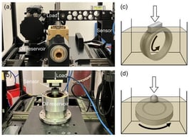 Experimental setups and corresponding schematics: (a) block-on-ring test assembly, (b) ball-on-disk test assembly, (c) schematic of the block-on-ring configuration, and (d) schematic of the ball-on-disk configuration. The directions of normal load and rotational motion are indicated with arrows in the schematics.