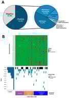 Belay tests detection yield. (A) Clinically actionable variants including gene level variants, aneuploidy, and MGMT promoter methylation were detected in 32 (64%) cerebrospinal fluid (CSF) specimens submitted to Belay Diagnostics for testing due to concern for central nervous system (CNS) lymphoma. (B) Summit™ testing results from individual specimens are grouped by a broad differential diagnosis (DDx), provisional diagnosis of primary CNS lymphoma (PCNSL), or a provisional diagnosis of secondary CNS lymphoma (SCNSL). Single nucleotide variants (SNVs) were most frequently detected in MYD88, primarily in specimens submitted with the provisional diagnosis of PCNSL. Variants in several other genes including CD79B and TP53 were found in PCNSL specimens as well as those submitted with a provisional diagnosis of SCNSL or a broad DDx. Twenty-four specimens had no clinically significant, or reportable, genomic variants detected (not reportable). Mild to high levels of chromosomal arm level aneuploidy were detected in 14 specimens.