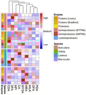 Hierarchical clustering and heatmap of fungal enzymatic activities. The activity values for each assay were normalized using a row-wise Z-score to allow for comparison. Hierarchical clustering was applied to group both the enzymatic assays (rows) and the fungus-medium combinations (columns) based on their activity profiles. The color scale represents the relative activity, from low (blue) to high (red). Row annotations on the left categorize the assays by enzyme class.