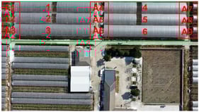 Full view of the trellis orchard.
