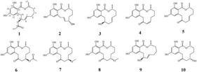 Structures of compounds 1–10.
