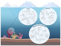 Structures of compounds 1–13 and their biological activities.