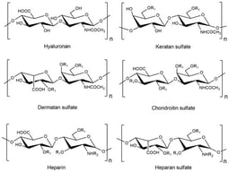 Major disaccharide repeating units of different types of GAGs. R refers to the substituent labeled R1 = H/SO3− and R2 = H/SO3−/COCH3−.