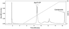 RPC profile of Ti-CP dissociation. RPC profile showing the separation of the apoprotein (ApoTi-CP) and the carotenoid moiety after dissociation of the native carotenoprotein (Ti-CP). Elution was carried out using a linear gradient of organic solvent, and chromatographic profiles were monitored by UV absorbance. The early-eluting peak corresponds to the apoprotein fraction (ApoTi-CP), reflecting its lower hydrophobicity, whereas the late-eluting peak corresponds to the hydrophobic carotenoid fraction released from the native complex.