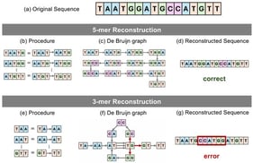 Illustration of genome reconstruction of (a) a particular sequence using De Bruijn graphs using (b–d) 5-mers (
k
=
5
) and (e–g) 3-mers (
k
=
3
), where (d) shows a successful reconstruction and (g) shows an incorrect reconstruction.