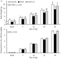 Growth of IUGR-born lambs supplemented daily with oral ω-3 PUFA Ca2+ salts. Data from controls (n = 12), IUGR (n = 11), and IUGR + ω3 (n = 12) lambs are presented for weekly bodyweights (A) and bodyweight changes from birth (B). Effects of experimental group, day, and GRP*DAY were assessed and are noted where significant (p ≤ 0.05). a,b Means with differing superscripts differ (p ≤ 0.05).