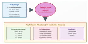 Untargeted serum metabolomics workflow in β-thalassemia.