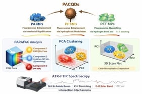 Morphological and structural characterization of PACQDs and microplastics. (a) PACQDs: (i) fluorescent micrograph image showing spherical morphology and high dispersion; (ii) particle size distribution histogram indicating a mean diameter of ~1.0 nm; (iii) FTIR spectrum highlighting amide and carboxylic surface functional groups. (b) PAMPs: (i) SEM image showing irregular fragment morphology; (ii) size distribution histogram (mean: 10.38 ± 2.78 μm); (iii) FTIR spectrum confirming characteristic amide I and II bands. (c) PPMPs: (i) SEM image of polypropylene fragments; (ii) size distribution histogram (mean: 10.47 ± 2.99 μm); (iii) FTIR spectrum showing dominant aliphatic C–H vibrations. (d) PETMPs: (i) SEM image of polyethylene terephthalate fragments; (ii) size distribution histogram (mean: 10 ± 2.81 μm); (iii) FTIR spectrum identifying ester carbonyl and aromatic C=C stretching modes.
