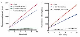 Enhancement of inhibition by crosslinking peptide with enzyme. (a) PEP-1 (“RVFKRKRWLHVSRYYFGSC”) decreased the inhibition of β-galactosidase (β-Gal) when it was diluted from 20 μM (green) to 200 nM (blue); (b) Formaldehyde-crosslinked PEP-1–β-Gal complex (green) with strongly inhibited enzyme activity, even at 200 nM peptide concentration.