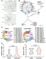 (A) The sampling sites in the cities of Beijing and Copenhagen in this study. (B) Minimal spanning tree based on the multi-locus sequence types of 134 S. aureus isolates collected in this study. Each circle represents a sequence type, and circle sizes represent the number of isolates. (C) Distribution of CC types in two cities. The star means the dominant CC type. (D) Violin plots represent the number of antimicrobial resistance genes and virulence factors of S. aureus strains in two cities.