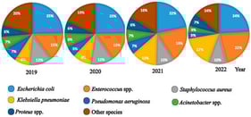 Distribution of the most frequently isolated bacterial species among all isolates, 2019–2022.