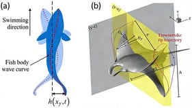 Schematic diagrams of BCF and MPF propulsion modes. (a) Schematic diagrams of BCF mode [14]. (b) Schematic diagrams of MPF mode [15].