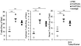 Proportions of splenic T-cell populations (CD3+, CD4+, CD8+) on day 2 after influenza infection. Oral EF-2001 pretreatment (14 days) significantly increased the frequency of these subsets compared to PBS controls, indicating enhanced systemic lymphocyte availability. (** p < 0.01 vs. Control).
